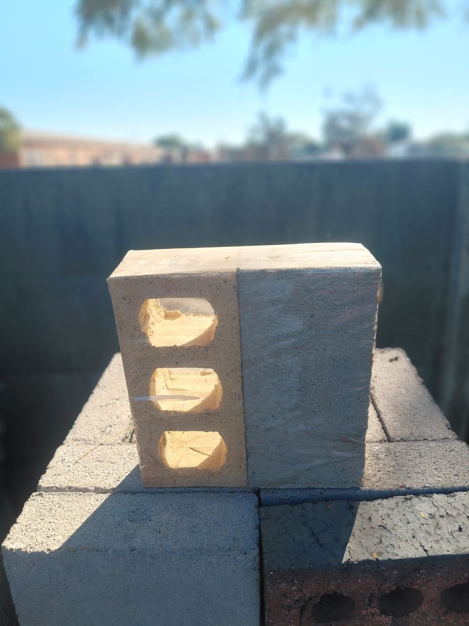 bricks photo 3