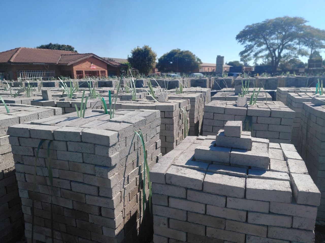bricks photo 4