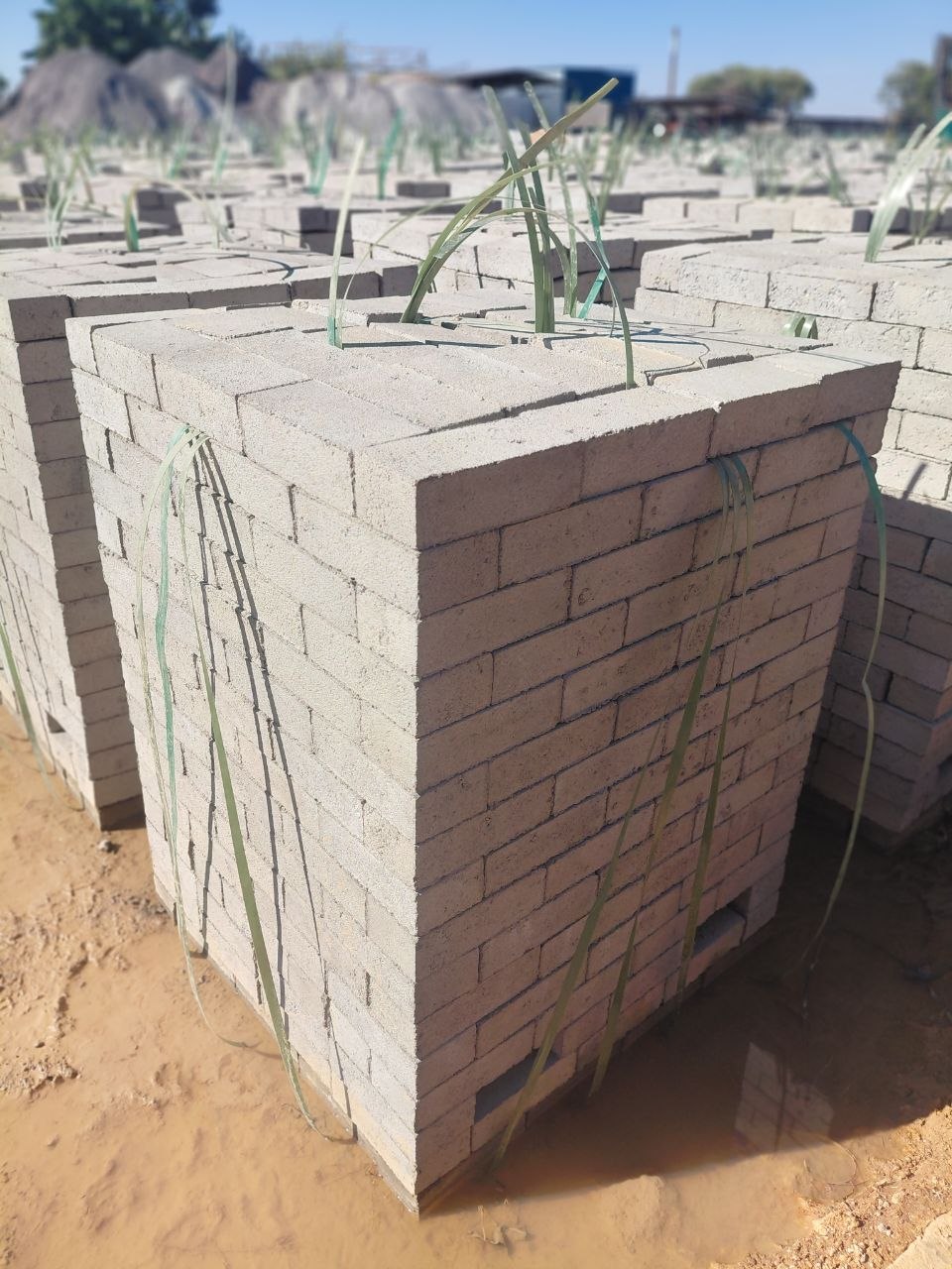bricks photo 6