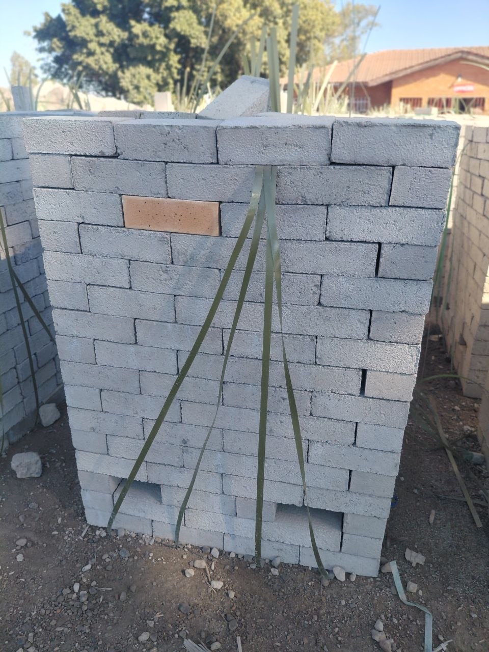 bricks photo 9